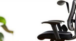 10 Best Ergonomic Office Chairs for All Day Work in 2026