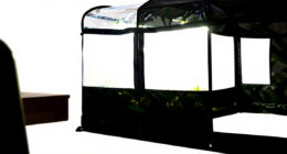 10 Best Grow Tent Kit for Year Round Gardening in 2026