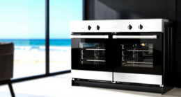 11 Best Double Wall Oven in 2026
