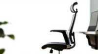 12 Best Ergonomic Office Chair Premium in 2026