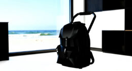 13 Best Backpack Leaf Blower in 2026