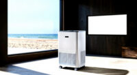 13 Best Dehumidifier for Basement in 2026