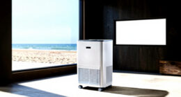 13 Best Dehumidifier for Basement in 2026