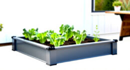 13 Best Raised Garden Bed Kit for Vegetables in 2026
