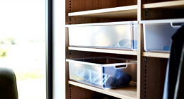 5 Best Closet Organizer System for Reach-In Closets in 2026