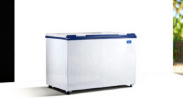 6 Best Chest Freezer Large in 2026