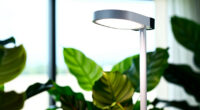 7 Best Grow Light for Indoor Tropical Plants in 2026