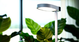 7 Best Grow Light for Indoor Tropical Plants in 2026