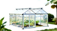 8 Best Cold Frame Greenhouses in 2026