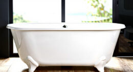 8 Best Walk In Bathtub in 2026