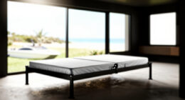 9 Best Adjustable Bed Frame King in 2026