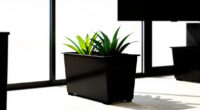 9 Best Vertical Garden Planter in 2026