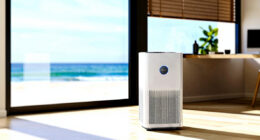 9 Best Whole Home Air Purifier in 2026