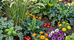 combining decorative and edible plants