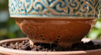 importance of drainage holes