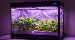 indoor plant cultivation benefits