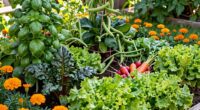 maximize growth with companions