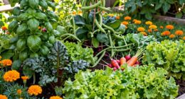 maximize growth with companions