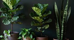 shade loving statement plants