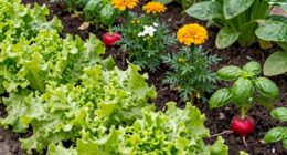 simple planting tips for beginners
