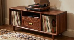 stylish storage for records