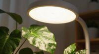 winter plant growth support