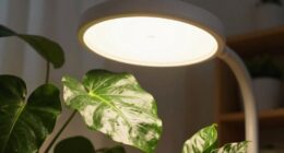 winter plant growth support