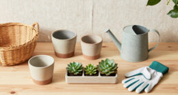 12 Best Indoor Gardening Products for Easy Home Harvests in 2026
