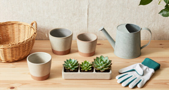 12 Best Indoor Gardening Products for Easy Home Harvests in 2026