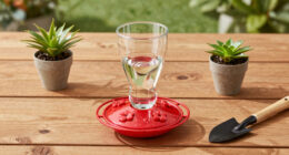 14 Best Hummingbird Feeders for Easy Backyard Birdwatching in 2026