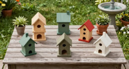 15 Best Bird Feeders And Houses For Backyard Birdwatching In 2026