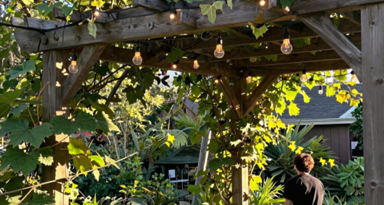15 Best Outdoor String Lights for Patios and Backyards in 2026