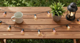 15 Best Patriotic Outdoor String Lights for Backyard Celebrations in 2026