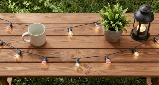 15 Best Patriotic Outdoor String Lights for Backyard Celebrations in 2026