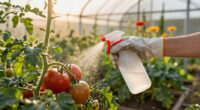6 Pests To Guard Against In July – Nip Them In The Bud Before They Ruin Your Garden