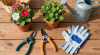 7 Plants to Prune in July Before it’s Too Late – Next Year’s Flowers Depend On the Right Timing