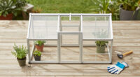 8 Best Garden Greenhouse Kits for Every Yard and Budget in 2026