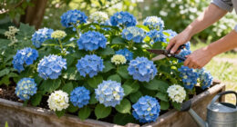8 Best Groundcover Hydrangeas for Slopes, Borders, and Mass Planting in 2026