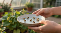 Help Bees Survive The Heat – Turn A Saucer Into A Summer Lifeline In Just Minutes
