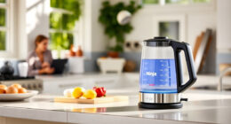 Stay Cool & Brew Perfect Iced Teas with the Ninja KT200BL Kettle