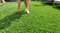 This Pretty Lawn Alternative Laughs Off Heatwaves – And Barely Ever Needs Mowing