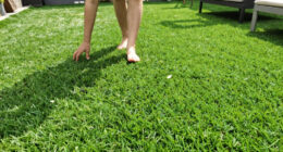 This Pretty Lawn Alternative Laughs Off Heatwaves – And Barely Ever Needs Mowing