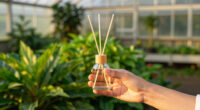 14 Best Home Diffusers in 2026