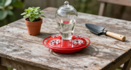 14 Best Hummingbird Feeders in 2026