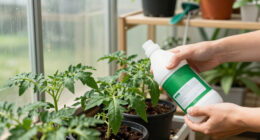 15 Best Plant Fertilizers in 2026