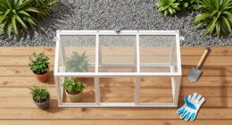 6 Best Garden Greenhouse Kits in 2026