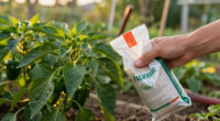 7 Best Pepper Plant Fertilizers in 2026