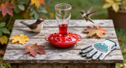 Feeding Hummingbirds This Fall? These 5 Sweet Spot Secrets Help You To Keep Your Hummers Safe And Happy