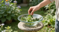 I Saw TikTok Telling People To Put Herbs In Their Bird Baths... But Is It Actually A Good Idea?