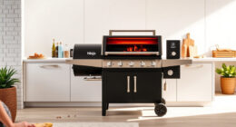 Ninja OG951 Woodfire Pro Connect: The Ultimate Summer Outdoor Grill